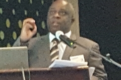 joe chingani